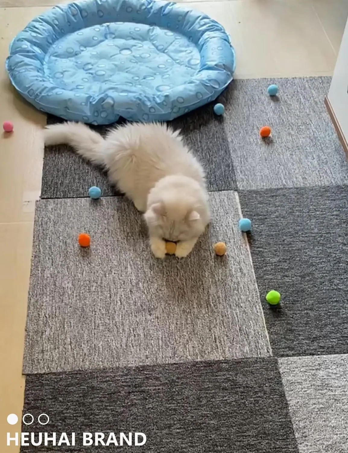 19 PCS Cat Toys Variety Pack for Indoor Cats and Kittens, Fuzzy Balls, Jingle Bells, Wind-Up Chick, Catnip Fish, and More Fun Toys (1.5'' - 8.3'', Cat Toys Pro Collection)