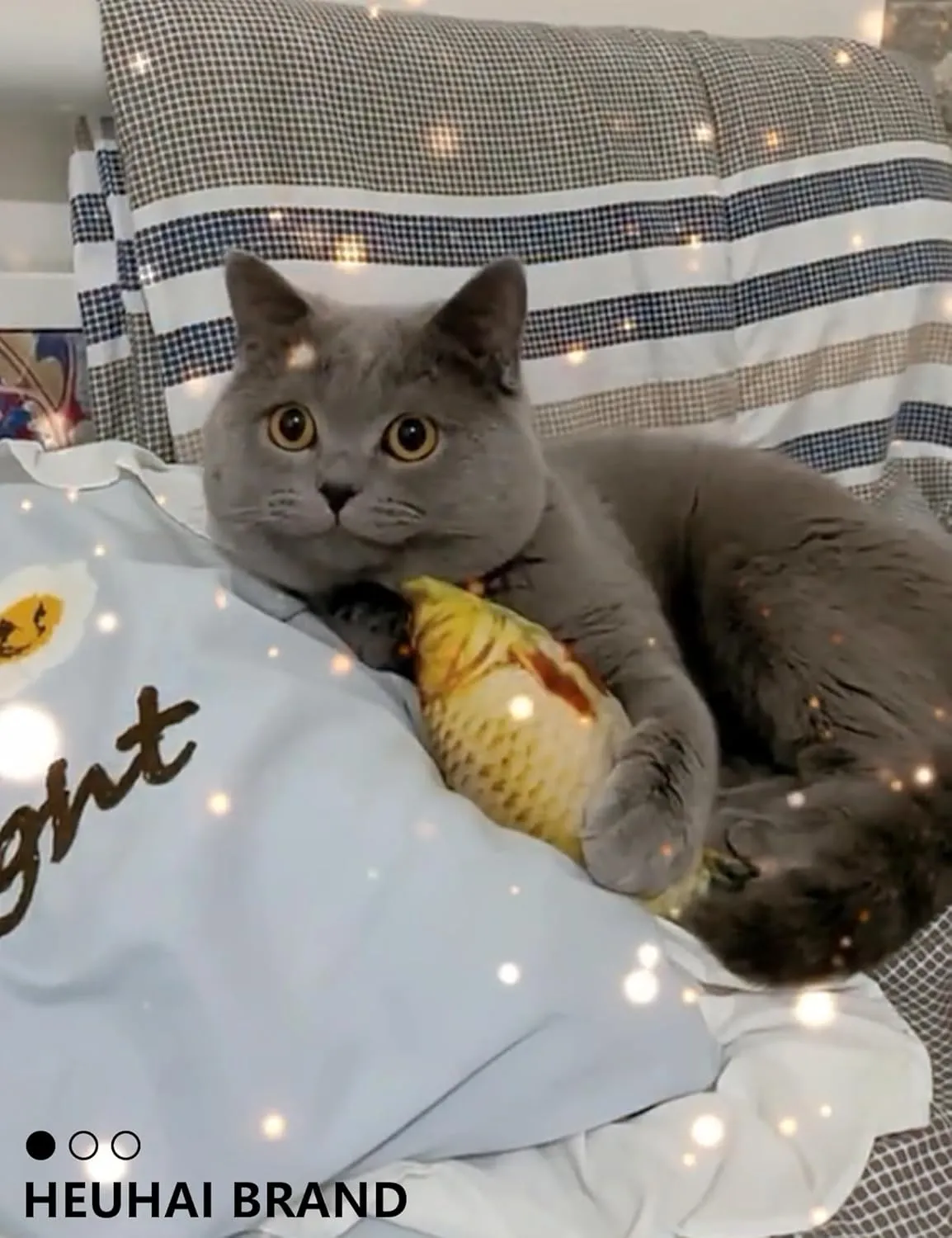 19 PCS Cat Toys Variety Pack for Indoor Cats and Kittens, Fuzzy Balls, Jingle Bells, Wind-Up Chick, Catnip Fish, and More Fun Toys (1.5'' - 8.3'', Cat Toys Pro Collection)