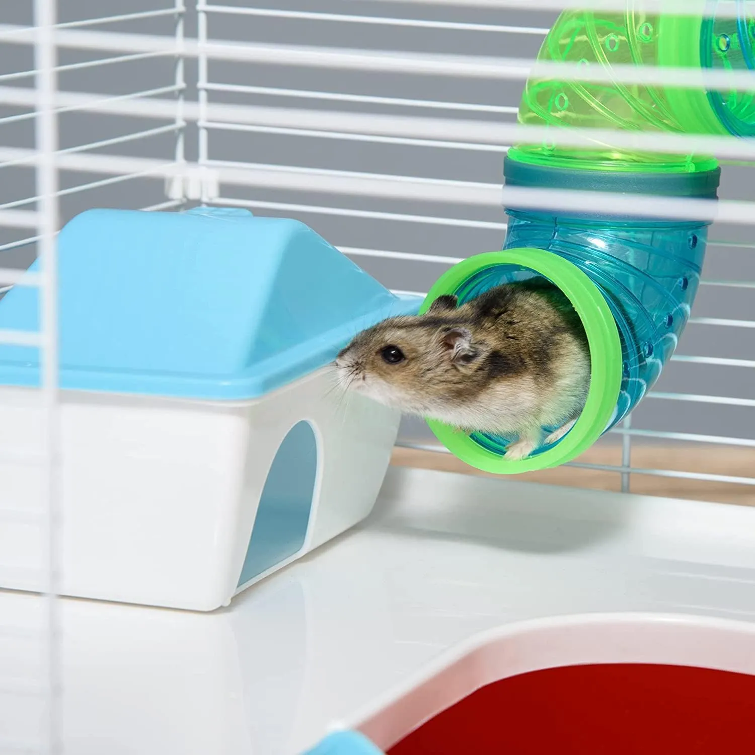 2 Levels Habitat Hamster Home Rodent Gerbil Mouse Mice Rat Wire Cage with Complete Set of Accessories (18" L x 12" W x 15" H, Blue)