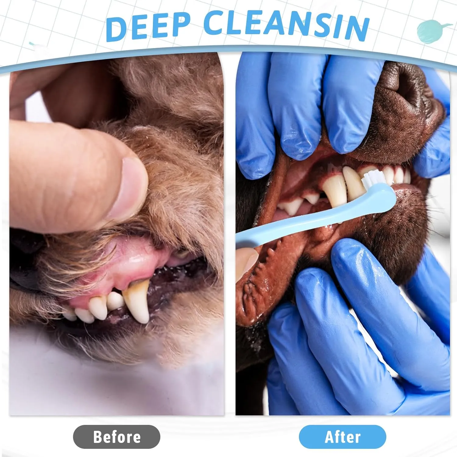 6Pcs Cat Toothbrush Small Dog Toothbrush Pet Tooth Brush Mini Head Soft Pet Puppy Tooth Brush Deep Clean Kit, Portable Travel Friendly and Easy to Use for Puppy, Kitten, Small Dog & Cat