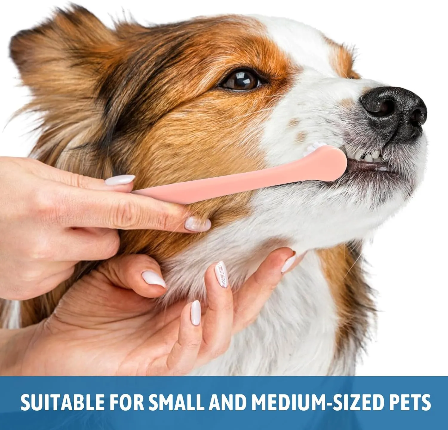 6Pcs Cat Toothbrush Small Dog Toothbrush Pet Tooth Brush Mini Head Soft Pet Puppy Tooth Brush Deep Clean Kit, Portable Travel Friendly and Easy to Use for Puppy, Kitten, Small Dog & Cat