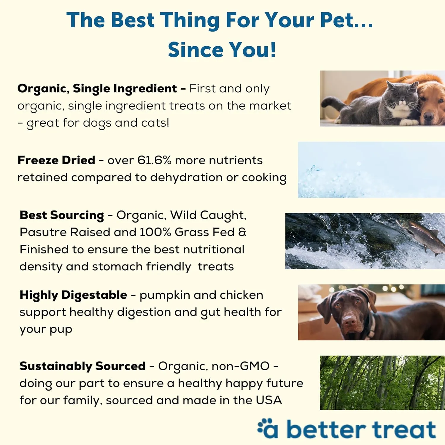 A Better Treat  Organic, Single Ingredient, Freeze Dried Pumpkin, Grass Fed & Finished Beef Liver, Chicken, Sweet Potato Dog Treats & Cat Treats | Natural, Healthy, Diabetic Friendly | Made in USA