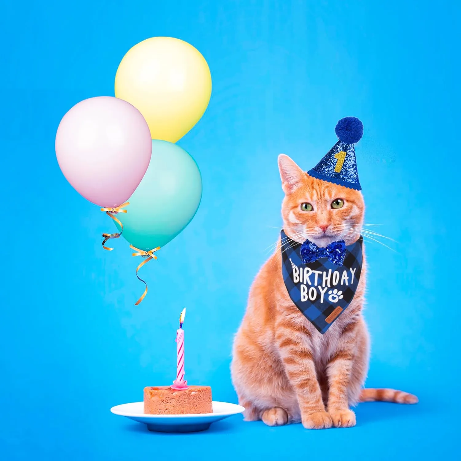 ADOGGYGO Cat Birthday Party Supplies, Birthday Boy Plaid Kitten Bandana, Blue Cat Party Hat with Numbers, Bowtie (Blue)