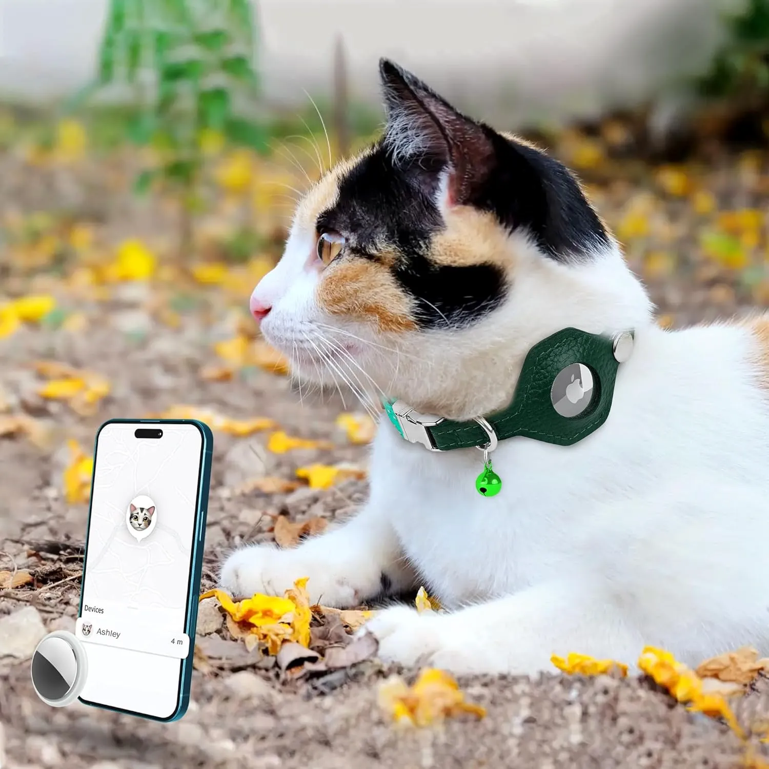  AirTag  -  Apple AirTag  - GPS ()