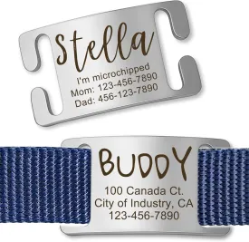 Anavia Slide On Silent Pet ID Tags, S/M/L/XL Personalized Gold Black Stainless Steel Customized Engraved Cat Dog Name Tags, Glossy Finish Chew-Proof Quiet Dog Collar Tag (X-Large, Silver)