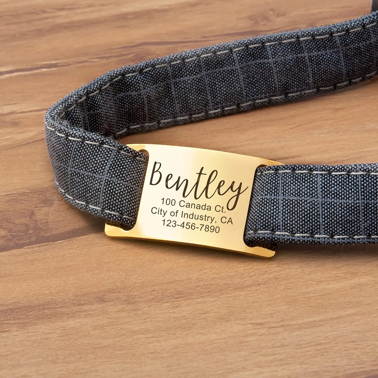 Anavia Slide On Silent Pet ID Tags, S/M/L/XL Personalized Gold Black Stainless Steel Customized Engraved Cat Dog Name Tags, Glossy Finish Chew-Proof Quiet Dog Collar Tag (X-Large, Silver)