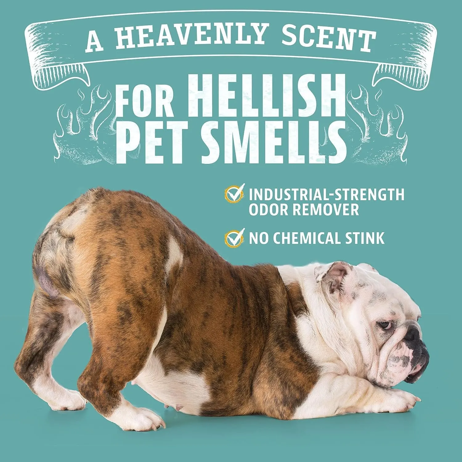 ANGRY ORANGE Pet Odor Eliminator for Dog and Cat Urine, Carpet Stains, and Strong Smells  Citrus Cleaner with Natural Orange Oil  24 oz
