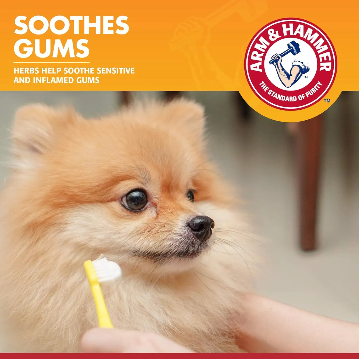 Arm & Hammer for Pets Clinical Care Enzymatic Toothpaste for Dogs Soothes Inflamed Gums Dog Toothpaste is Safe for All Dogs and Puppies, Chicken Flavor, 2.5 Ounces - 72 Pack (Pack of 72)