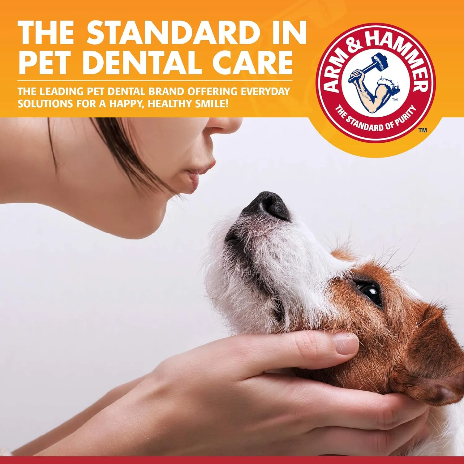 Arm & Hammer for Pets Clinical Care Enzymatic Toothpaste for Dogs Soothes Inflamed Gums Dog Toothpaste is Safe for All Dogs and Puppies, Chicken Flavor, 2.5 Ounces - 72 Pack (Pack of 72)