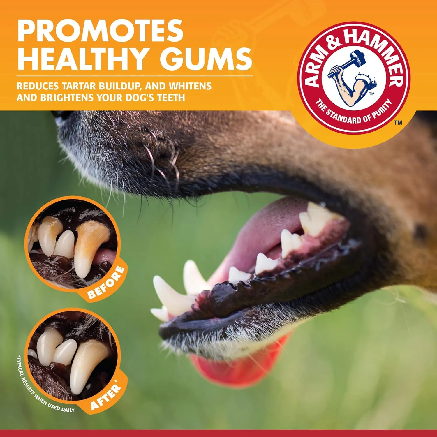 Arm & Hammer for Pets Clinical Care Enzymatic Toothpaste for Dogs Soothes Inflamed Gums Dog Toothpaste is Safe for All Dogs and Puppies, Chicken Flavor, 2.5 Ounces - 72 Pack (Pack of 72)