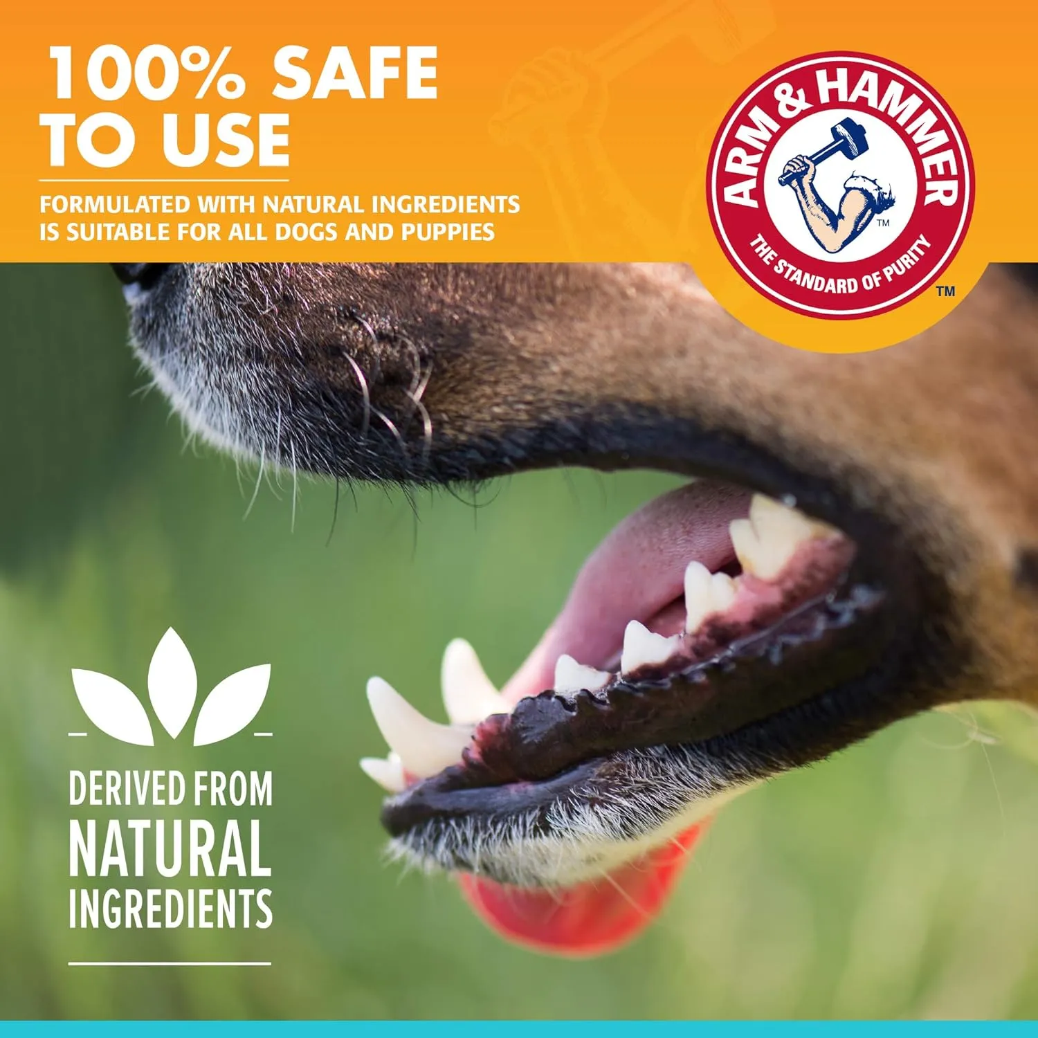 Arm & Hammer for Pets Dental Enzymatic Toothpaste for Dogs | No More Doggie Breath | Dog Toothpaste Safe for All Dogs and Puppies, Advanced Care, Chicken Flavor 2.5 Ounce (Pack of 1)