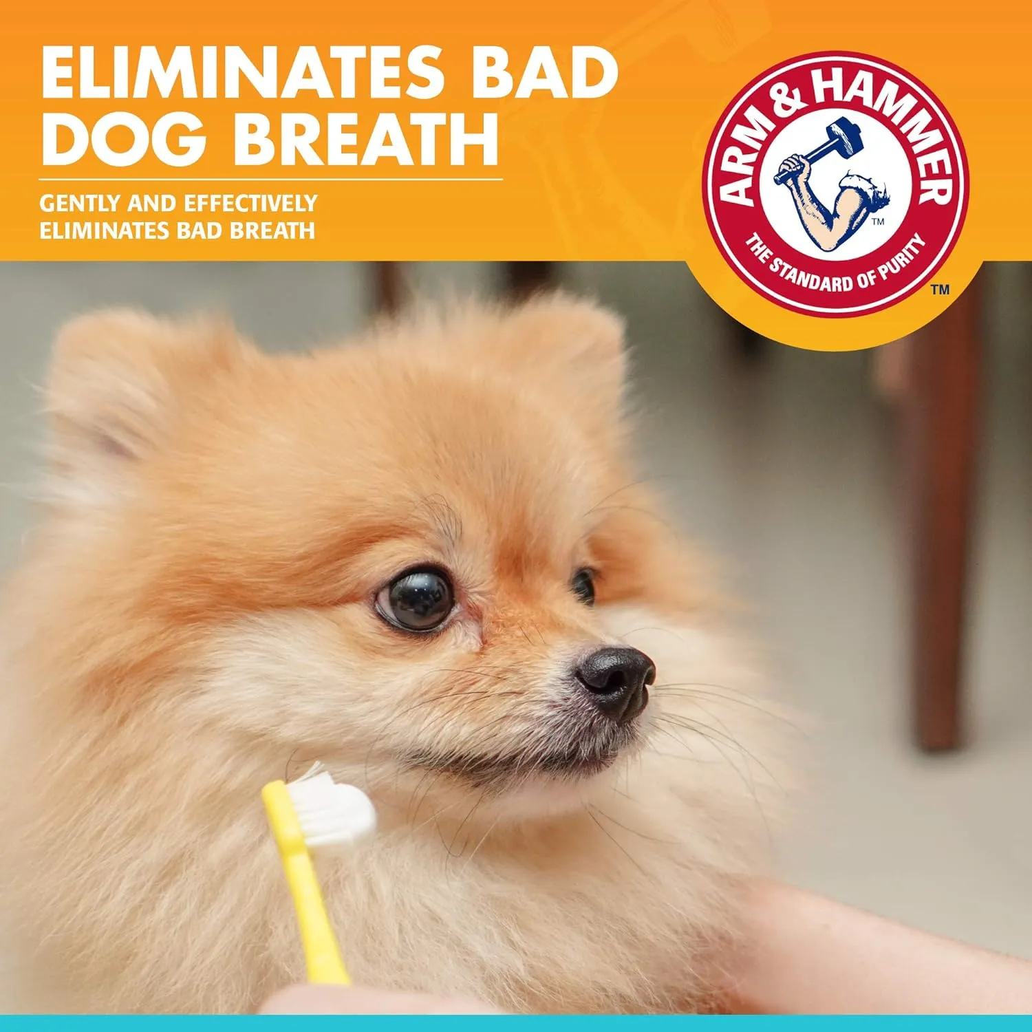 Arm & Hammer for Pets Dental Enzymatic Toothpaste for Dogs | No More Doggie Breath | Dog Toothpaste Safe for All Dogs and Puppies, Advanced Care, Chicken Flavor 2.5 Ounce (Pack of 1)