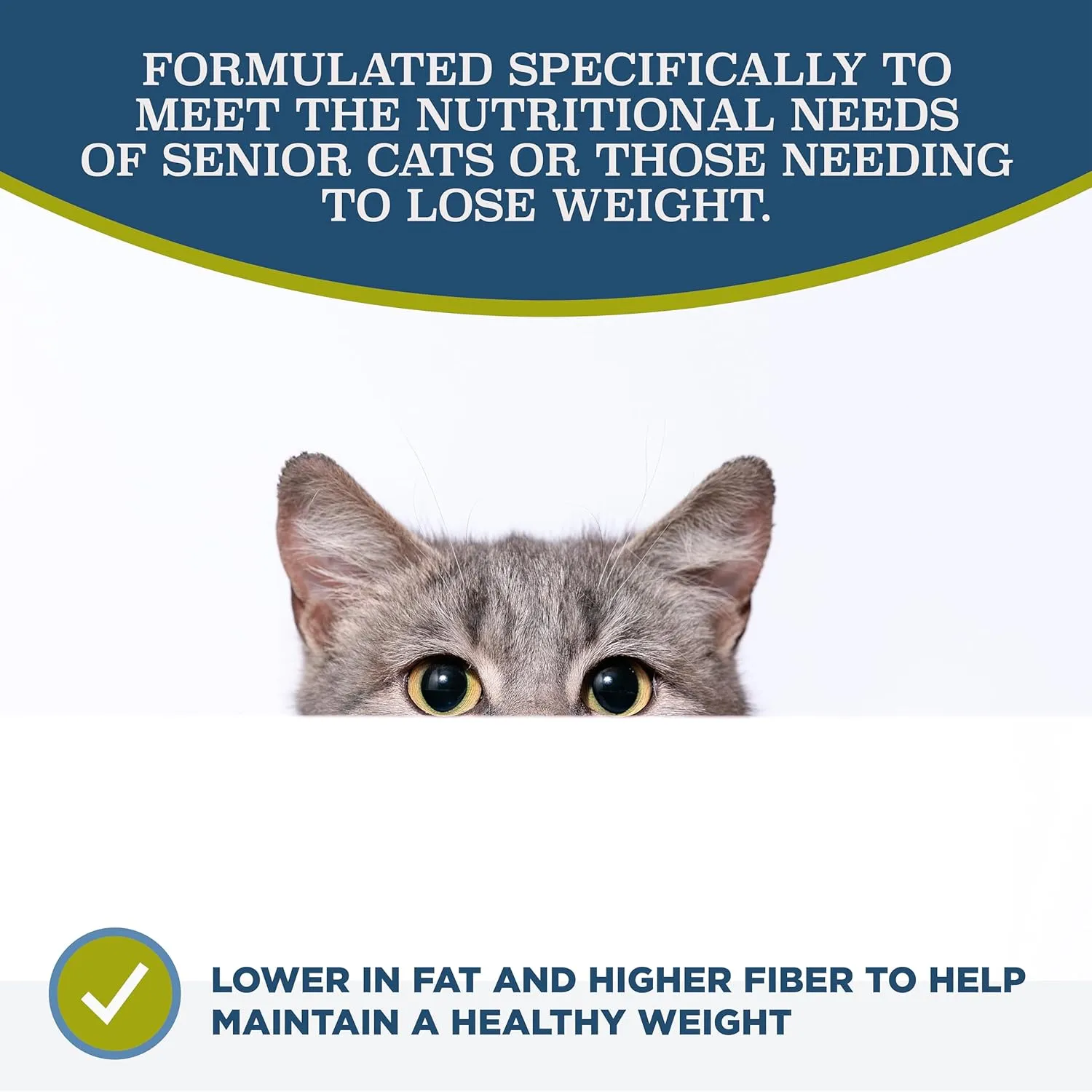 Blackwood Dry Cat Food, Lean / Senior Formula, Chicken Meal & Brown Rice Recipe, 4 Pound Bag, High Protein, Slow Cooked