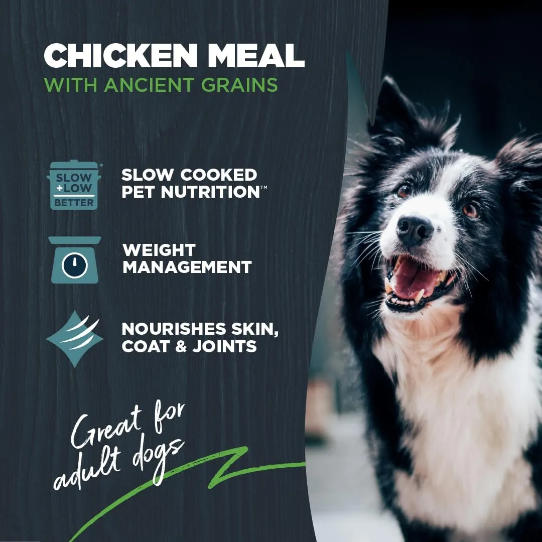 Blackwood Lean/Senior Dry Dog Food, Chicken Meal with Ancient Grains, 10 Pound Bag for Weight Management and Muscle Mass Maintenance