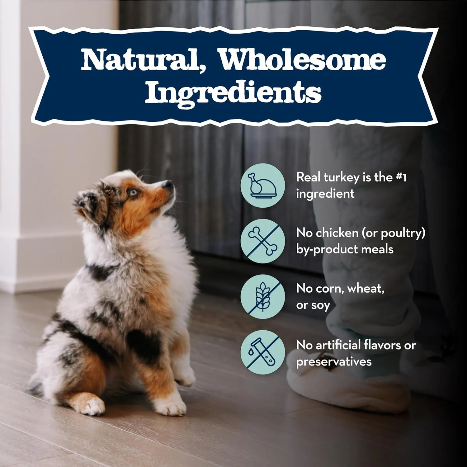 Blue Buffalo Baby BLUE Natural Wet Food for Puppies, Healthy Growth Formula with DHA, Turkey & Vegetable Recipe, 12.5-oz. Cans, 12 Count