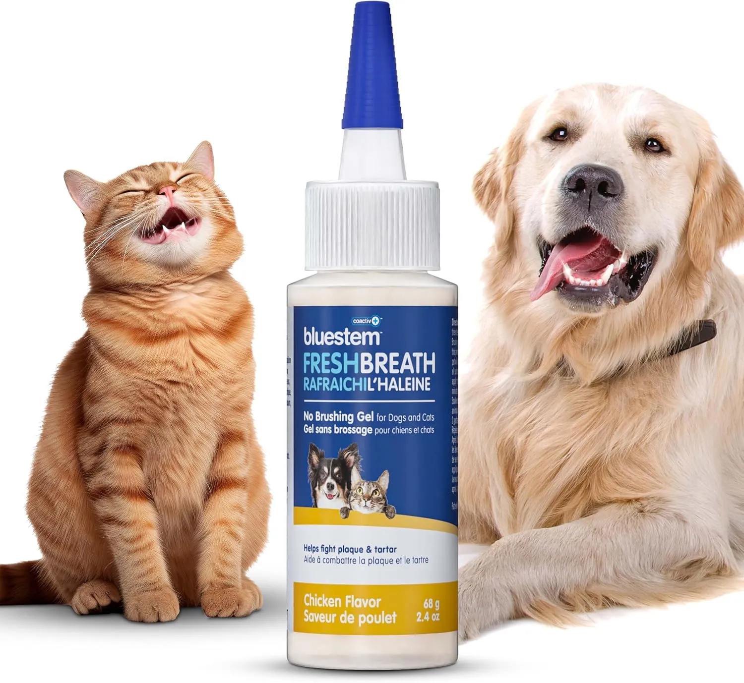 bluestemTM No Brush Dog Dental Gel - Dog Oral Gel to Freshen Breath, and Fights Plaque and Tartar - Brushless Toothpaste for Dogs