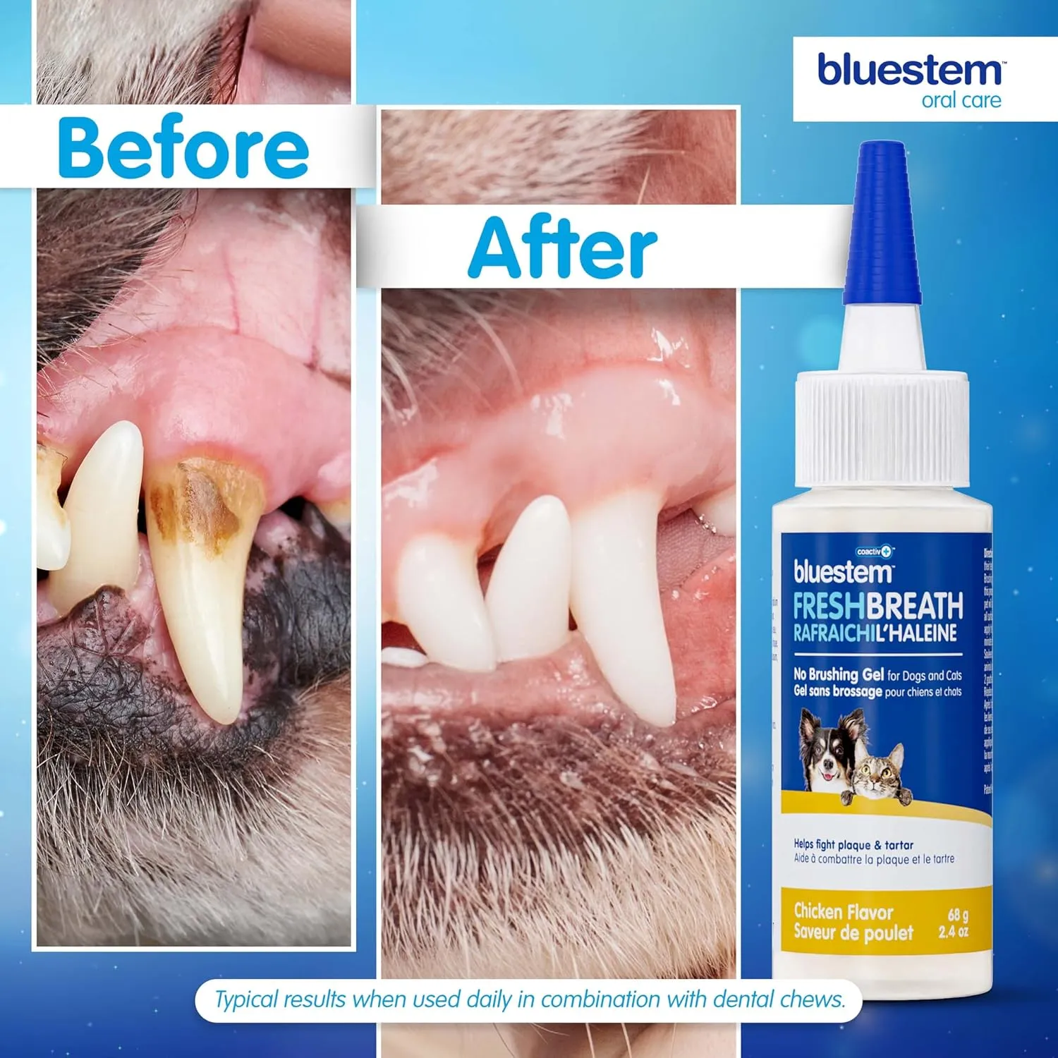 bluestemTM No Brush Dog Dental Gel - Dog Oral Gel to Freshen Breath, and Fights Plaque and Tartar - Brushless Toothpaste for Dogs