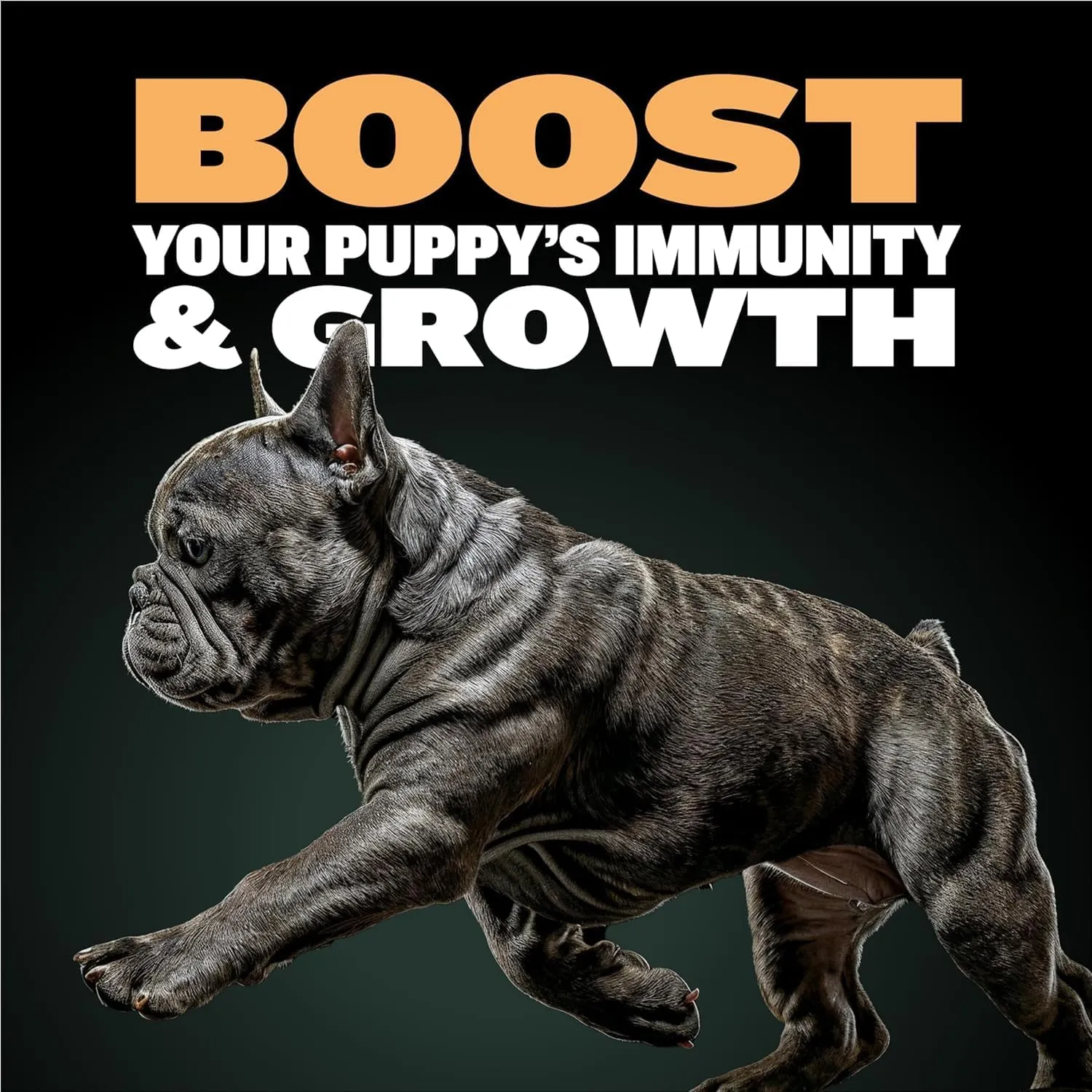 Bully Max Wet Puppy Food - Instant Fresh Dehydrated High Protein Soft Dog Food with Chicken - Healthy Growth for Small & Large Breed Puppies - 4 Dry Dog Food Pounds (Makes 11 lbs. of Wet Food)
