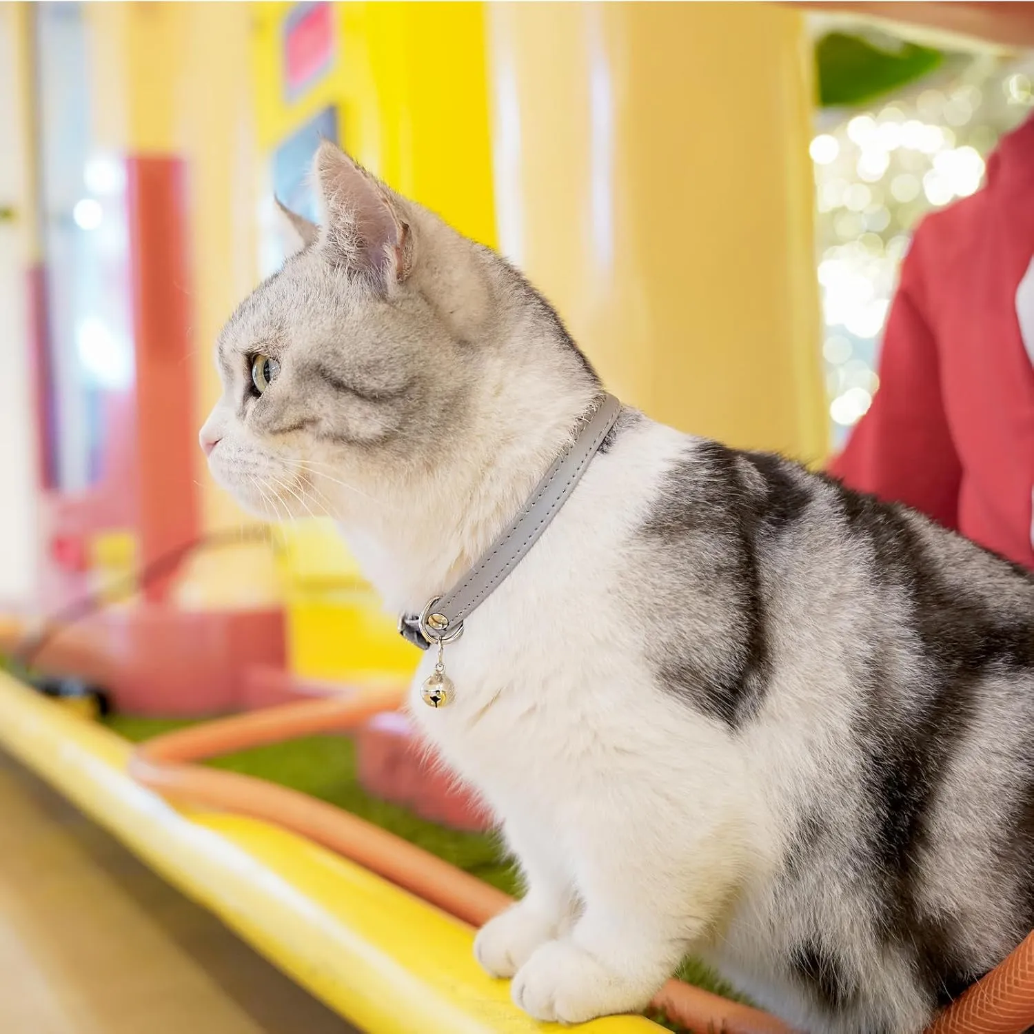 Cat Collar with Bells,Kitten Collar for Boy & Girl Leather cat Collar Breakaway with Safety Elastic Strap (Neck Fit 8"-11",Gray)