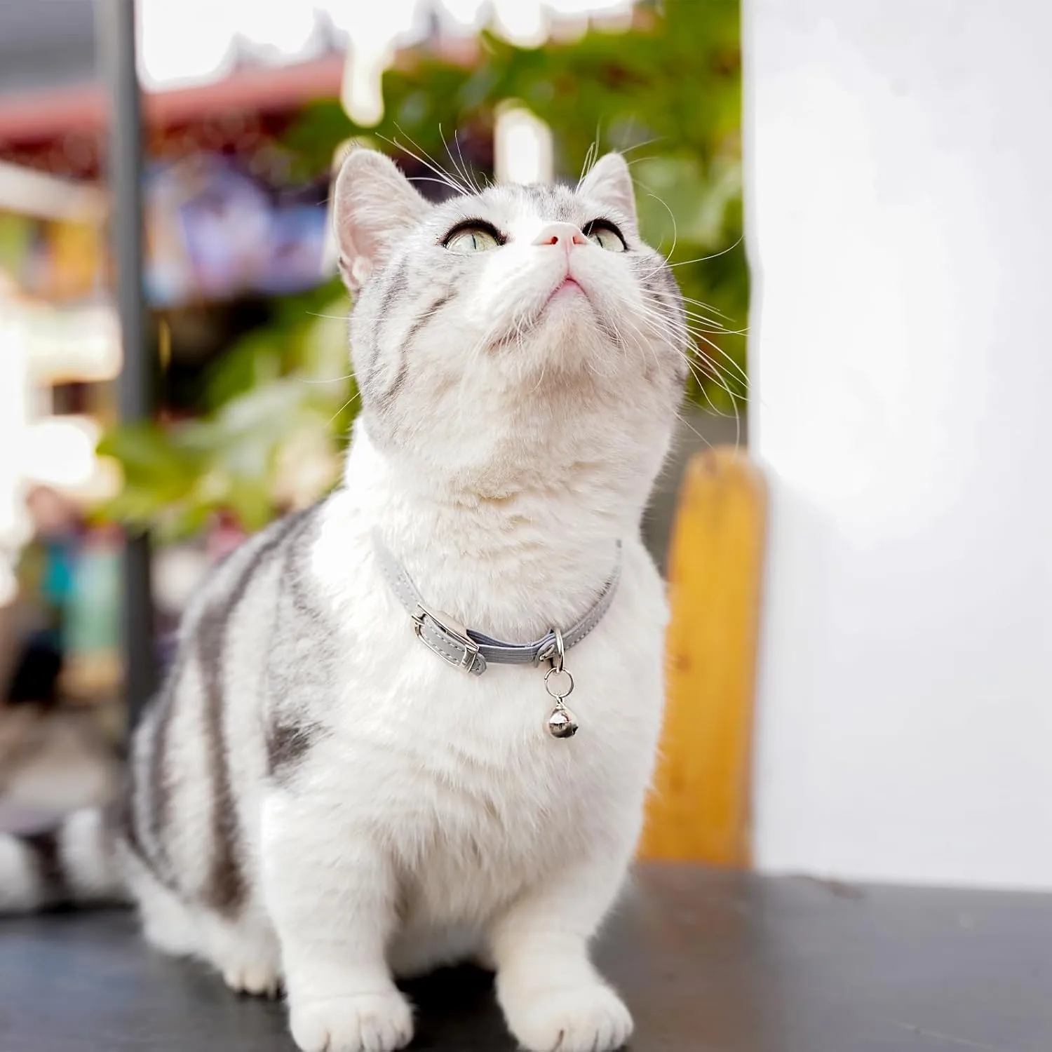 Cat Collar with Bells,Kitten Collar for Boy & Girl Leather cat Collar Breakaway with Safety Elastic Strap (Neck Fit 8"-11",Gray)