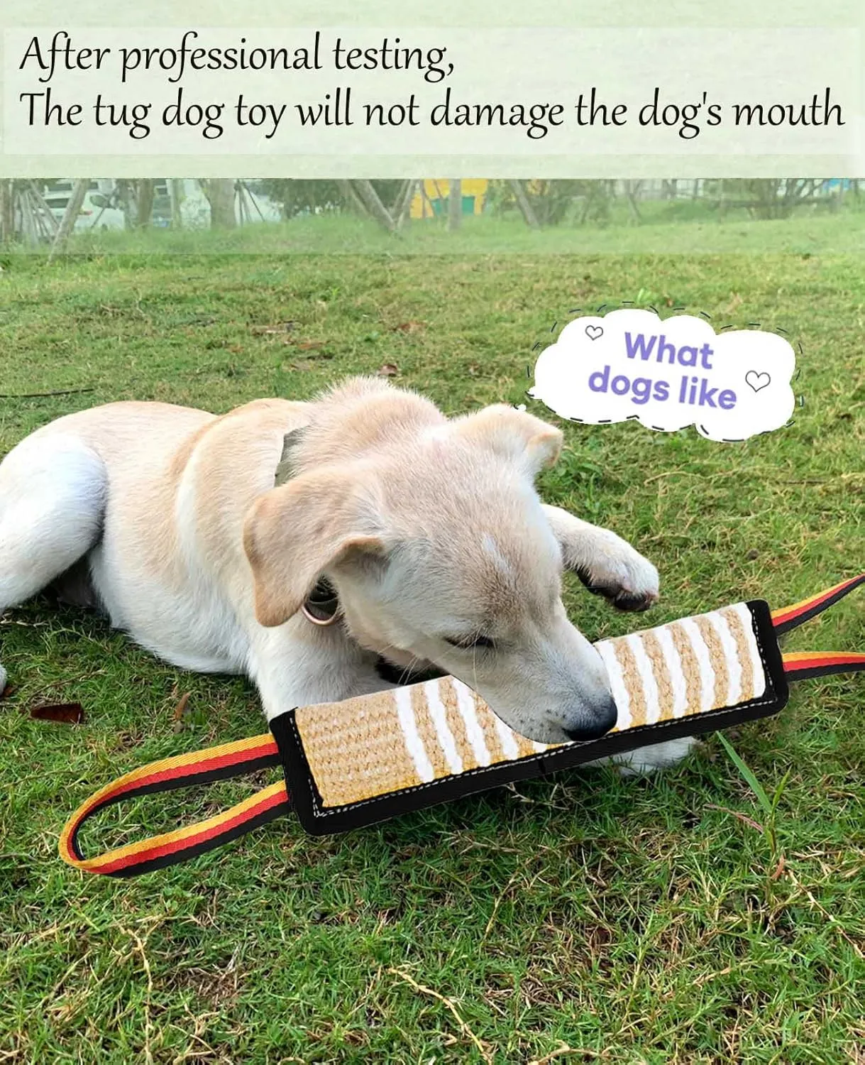 Clysoru Dog Tug Toy Dog Tough Jute Bite Pillow Lasting Training Equipment Two Flag Handles Puppy to Large Dogs Interactive Toy war Toys for Aggressive chewers