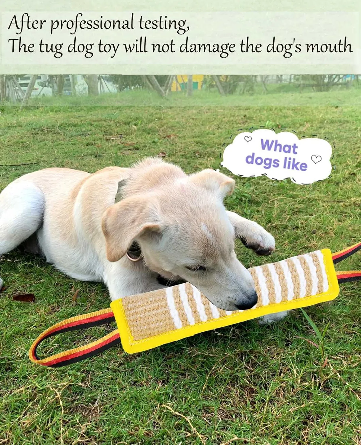 Clysoru Dog Tug Toy Dog Tough Jute Bite Pillow Lasting Training Equipment Two Flag Handles Puppy to Large Dogs Interactive Toy war Toys for Aggressive chewers