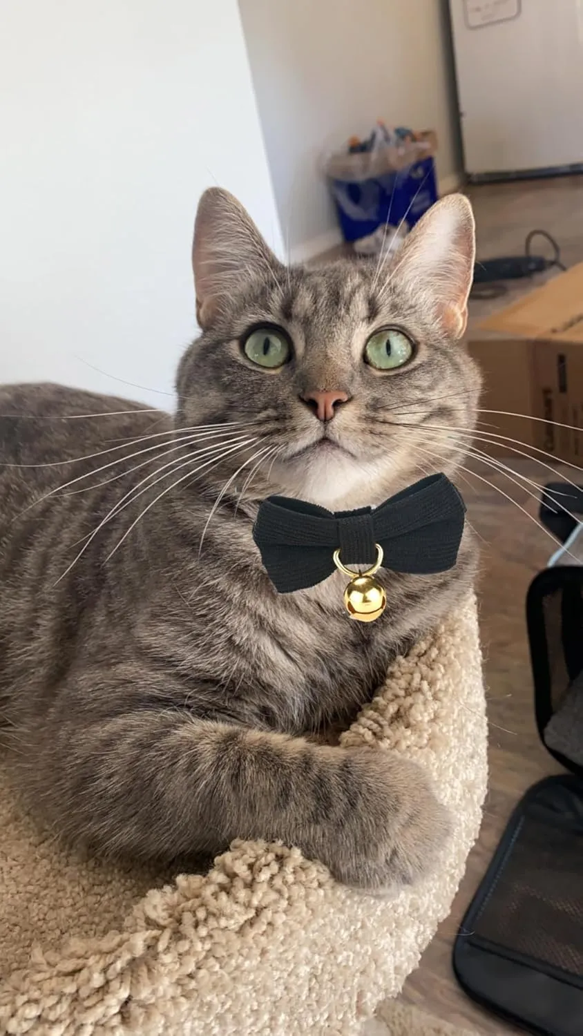 Cotton Breakaway Cat Collar with Bow Tie and Bell, Adjustable Cute Soft Corduroy Kitten Collars for Boy Cats,Black