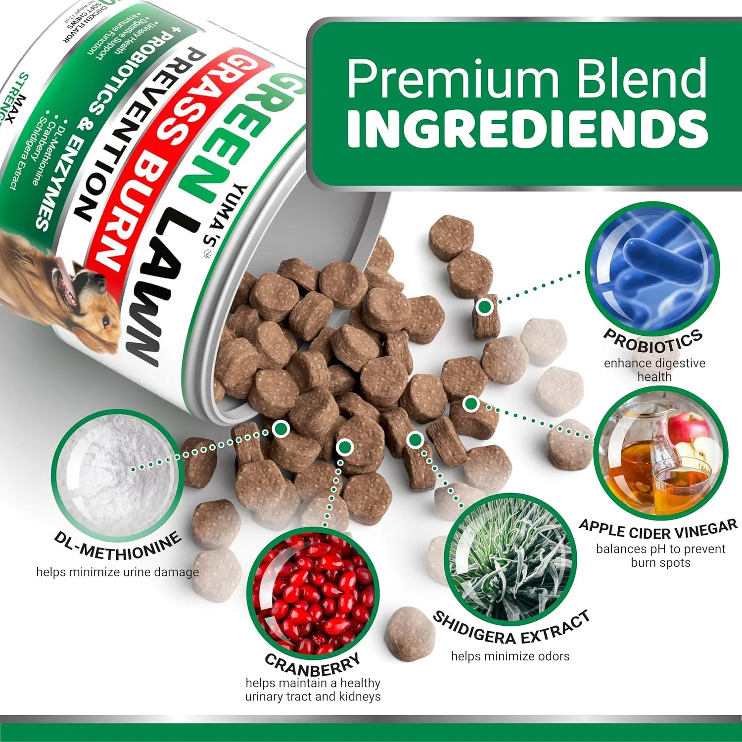 Dog Urine Neutralizer for Lawn - 170 Chews - Advanced Grass Green Savers for Dog Urine - Canine Pee Grass Neutralizer Supplement - Green Lawn Treats with Probiotics and Digestive Enzymes