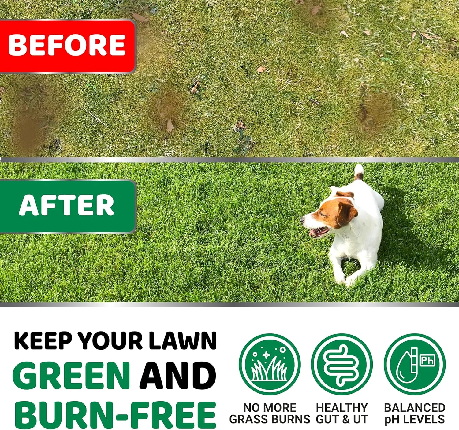Dog Urine Neutralizer for Lawn - 170 Chews - Advanced Grass Green Savers for Dog Urine - Canine Pee Grass Neutralizer Supplement - Green Lawn Treats with Probiotics and Digestive Enzymes