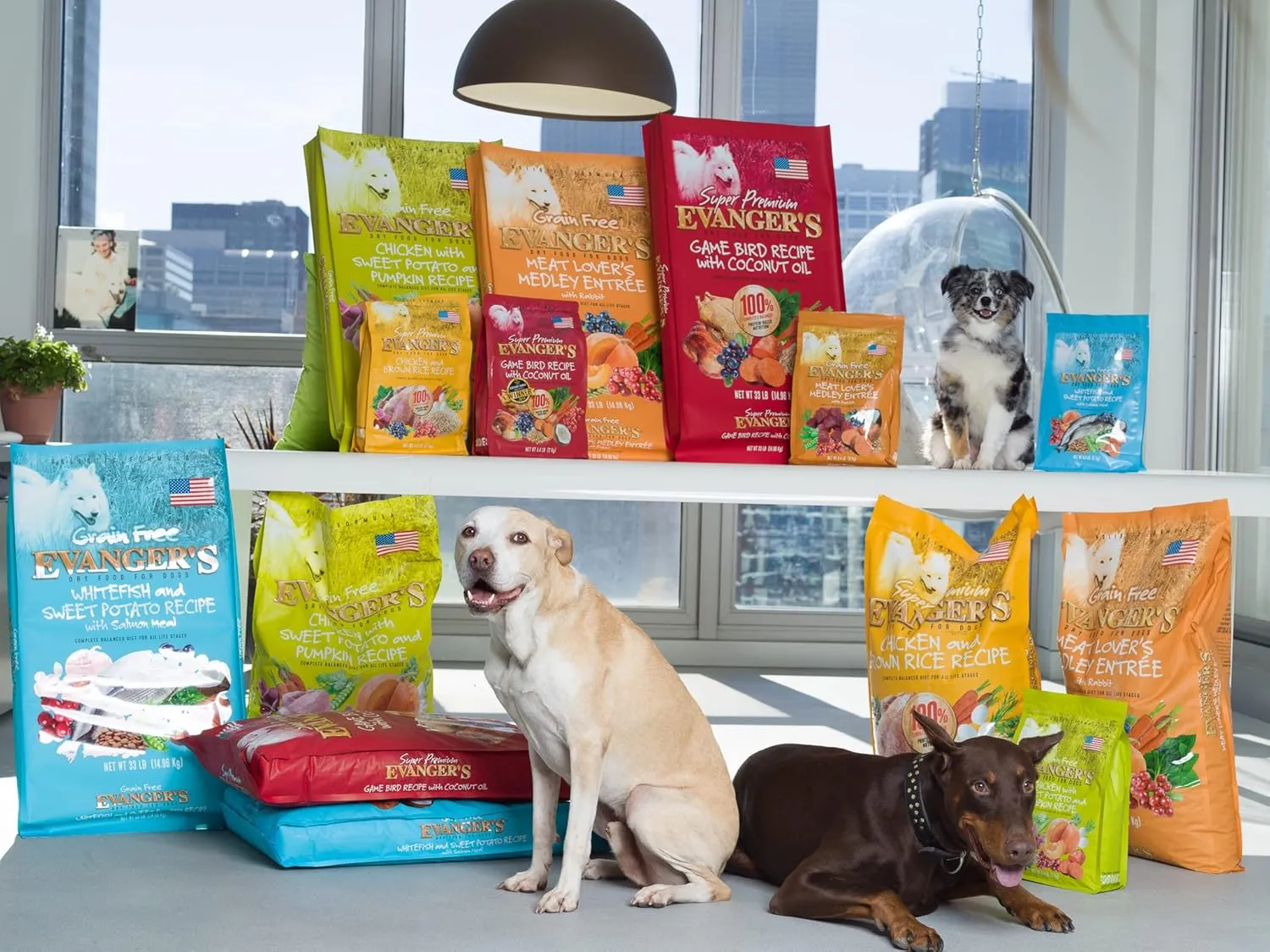 Evanger's Grain-Free Whitefish & Sweet Potato with Salmon and Buffalo Meal Dry Dog Food, 4.4 lb Bag