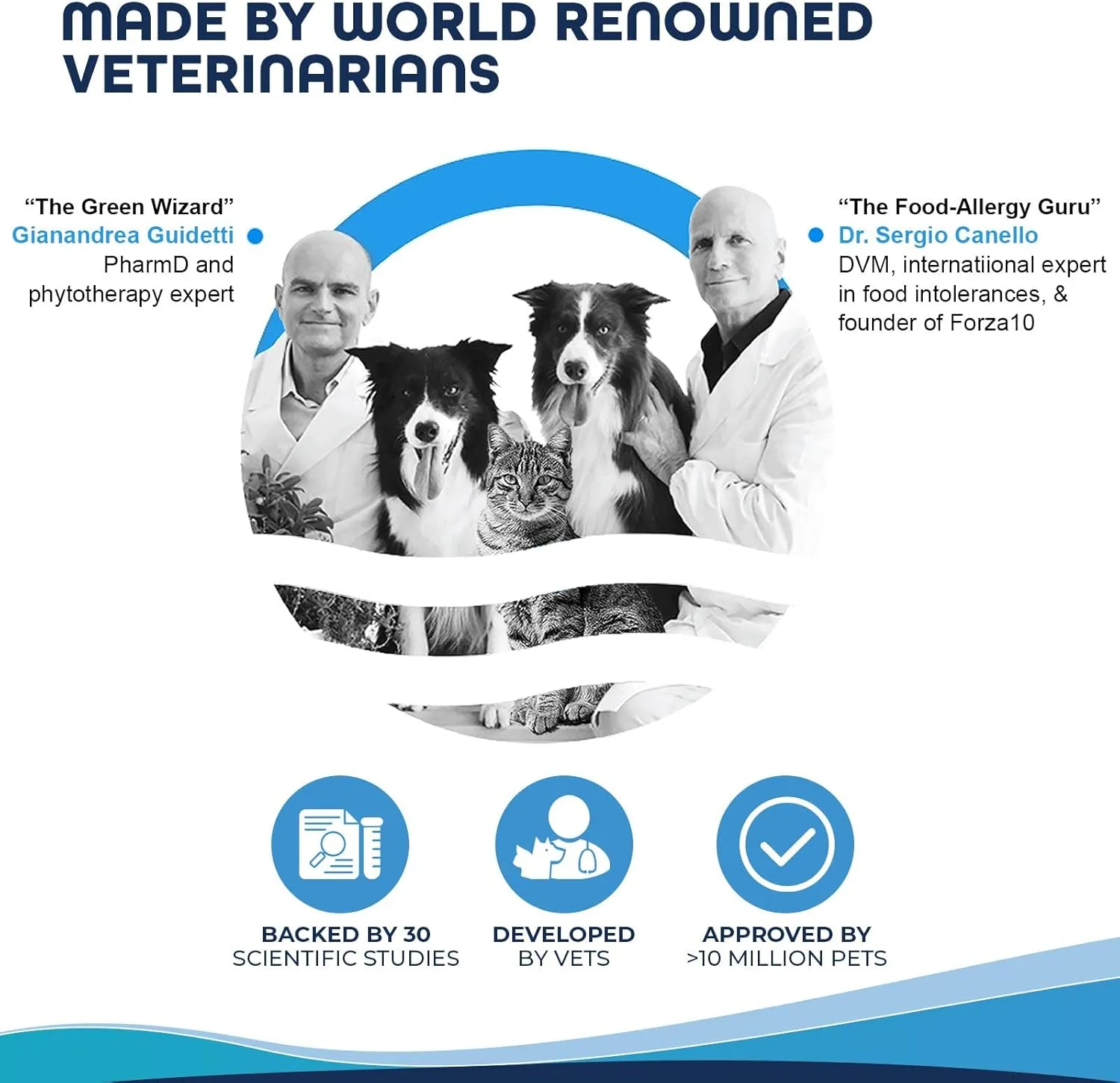 Forza10 Wet Hypoallergenic Dog Food, Fish Flavor, Canned Sensitive Skin Dog Food, for Adult Dogs with Skin Issues, 32 Pack Case of 3.5 Ounce Each