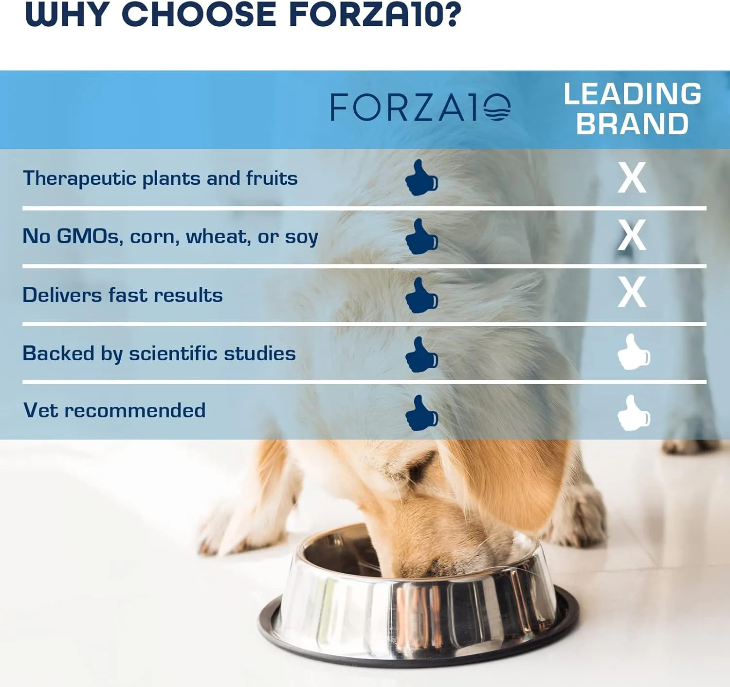 Forza10 Wet Hypoallergenic Dog Food, Fish Flavor, Canned Sensitive Skin Dog Food, for Adult Dogs with Skin Issues, 32 Pack Case of 3.5 Ounce Each