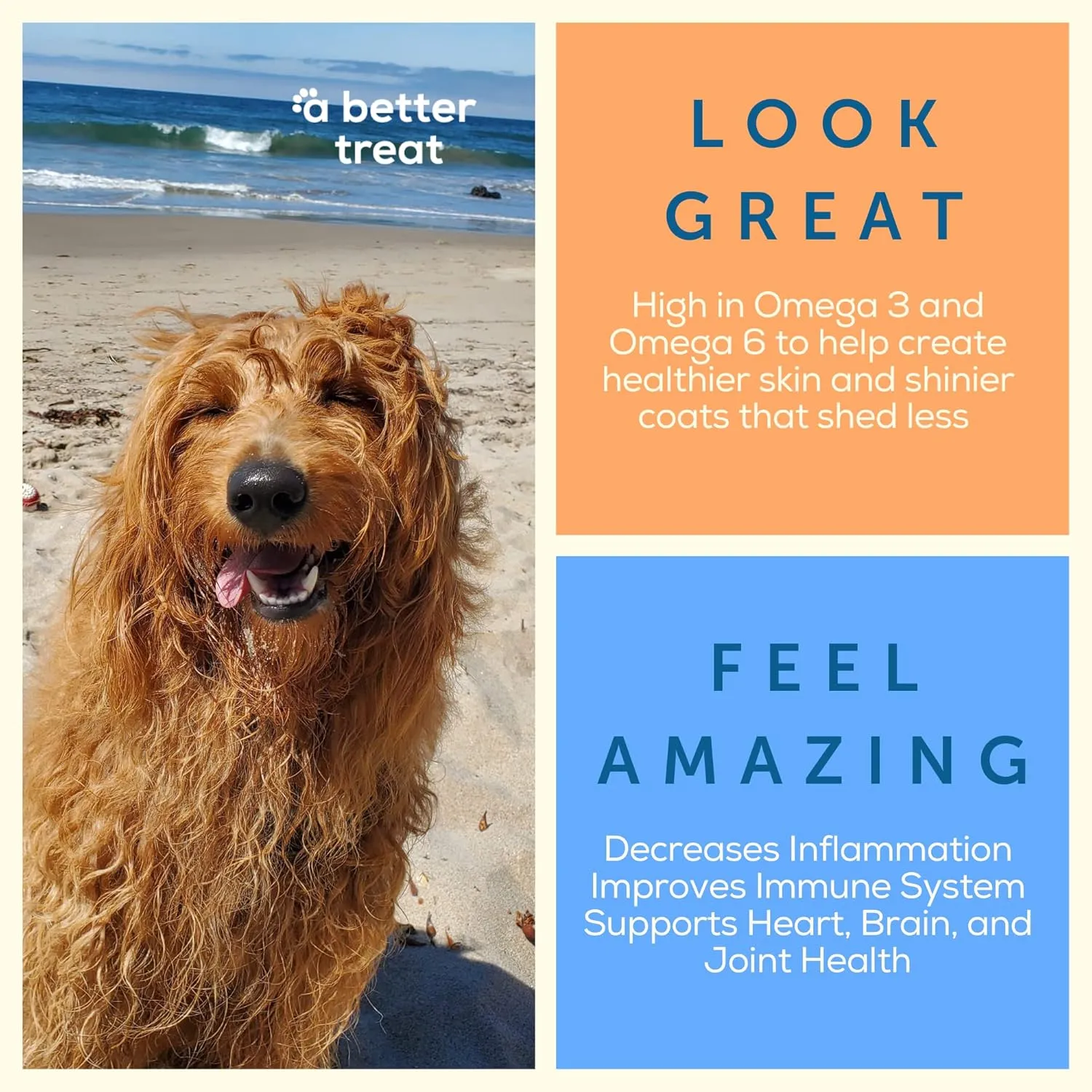 Freeze Dried Beef Dog Treats, Grass Fed, Beef Liver Single Ingredient | Natural, Healthy, High Protein, Diabetic Friendly | Made in The USA (Beef)