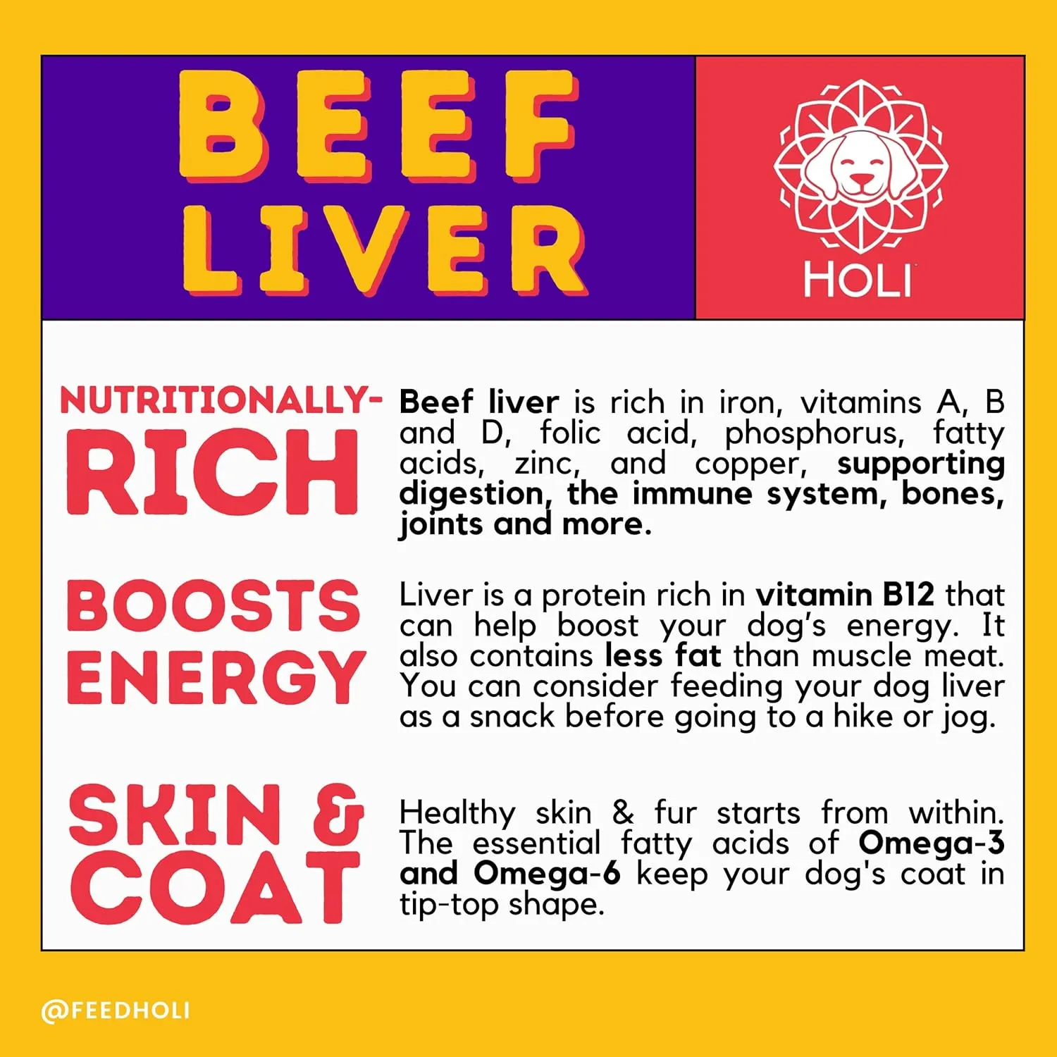 HOLI Beef Liver Dog Food Topper - Single Ingredient, Human-Grade - Freeze Dried Protein and Flavor Enhancer for Picky Dogs  Grain Free  100% All Natural - 8oz