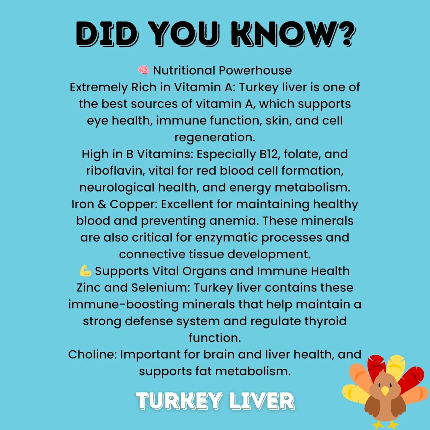 hotspot pets Freeze Dried Turkey Liver Treats for Cats & Dogs -Made in USA, 1lb Big Bag, Single Ingredient All Natural Grain-Free Turkey Liver- Perfect for Training, Topper or Snack