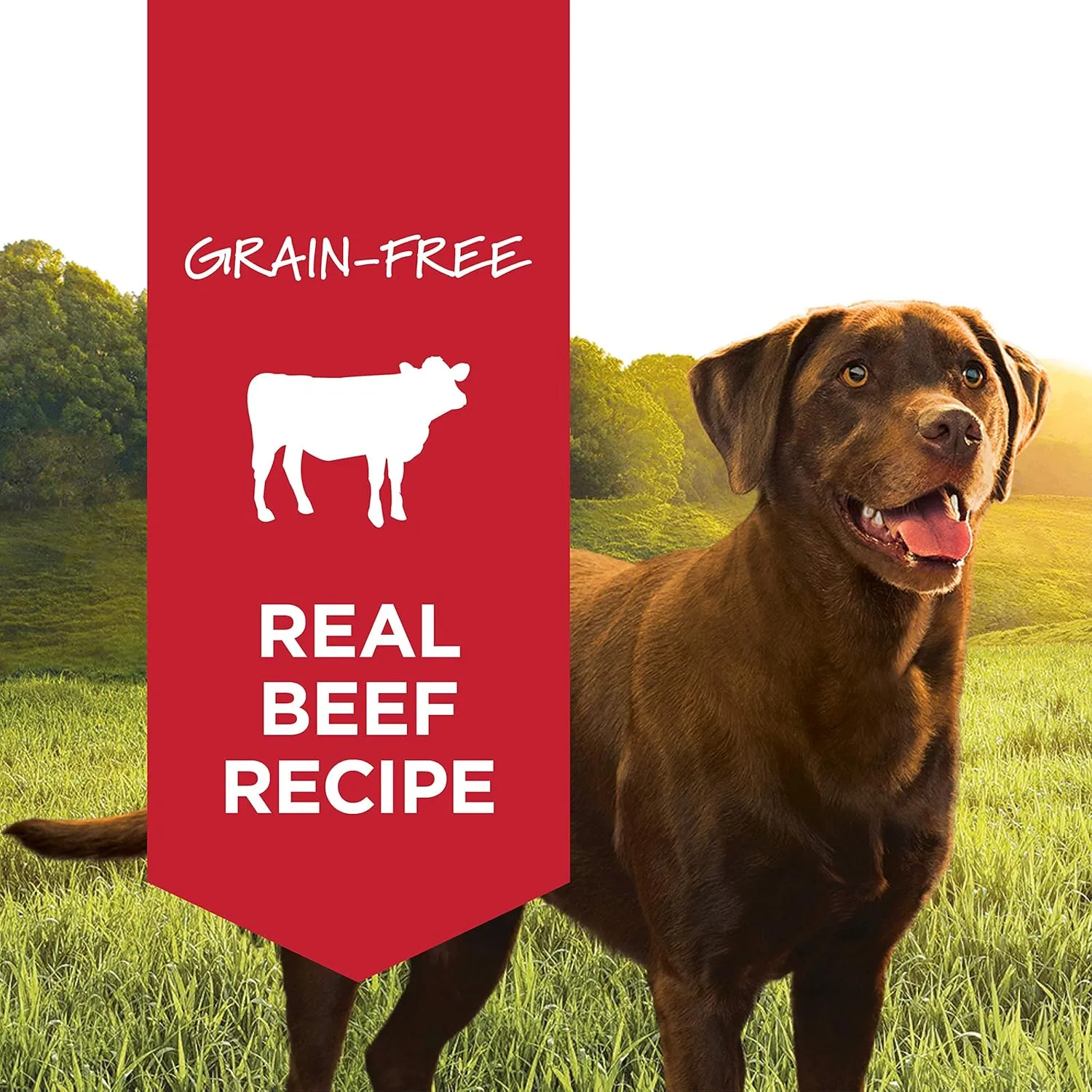 Instinct Original Wet Dog Food, Grain Free Recipe - Real Beef, 13.2 oz. Cans (Pack of 6)