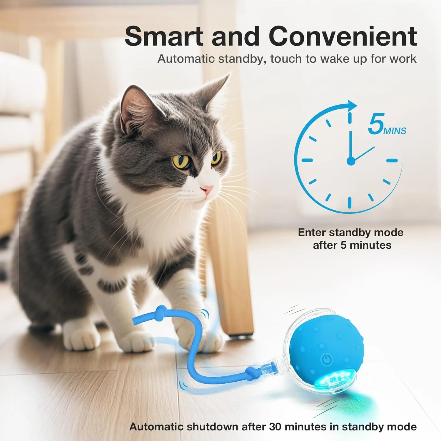 Interactive Cat Toys Ball for Indoor Cats Electric Chirping Bird Fast Moving Rolling Ball on Carpet, Chirping & Motion Activate Kitty Cat Toys (Blue)