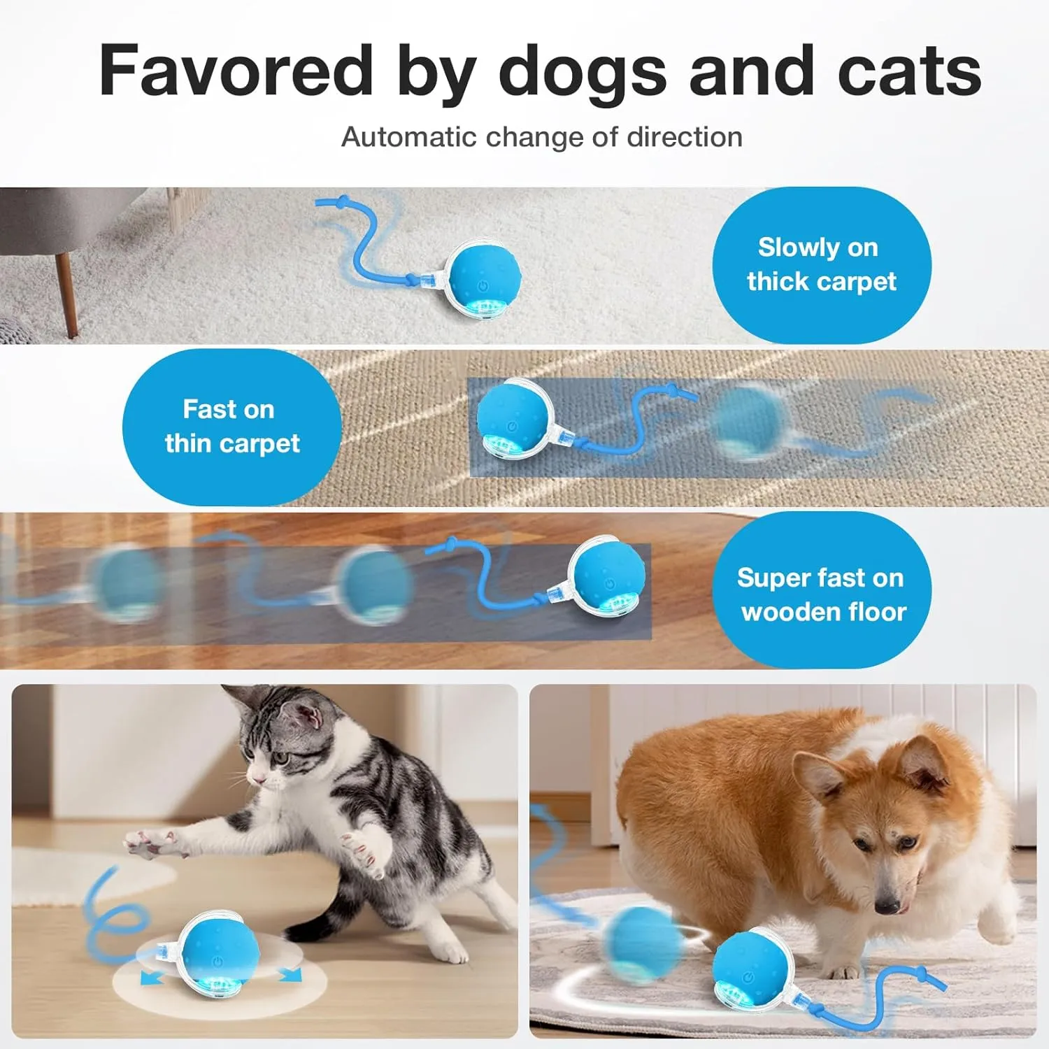 Interactive Cat Toys Ball for Indoor Cats Electric Chirping Bird Fast Moving Rolling Ball on Carpet, Chirping & Motion Activate Kitty Cat Toys (Blue)