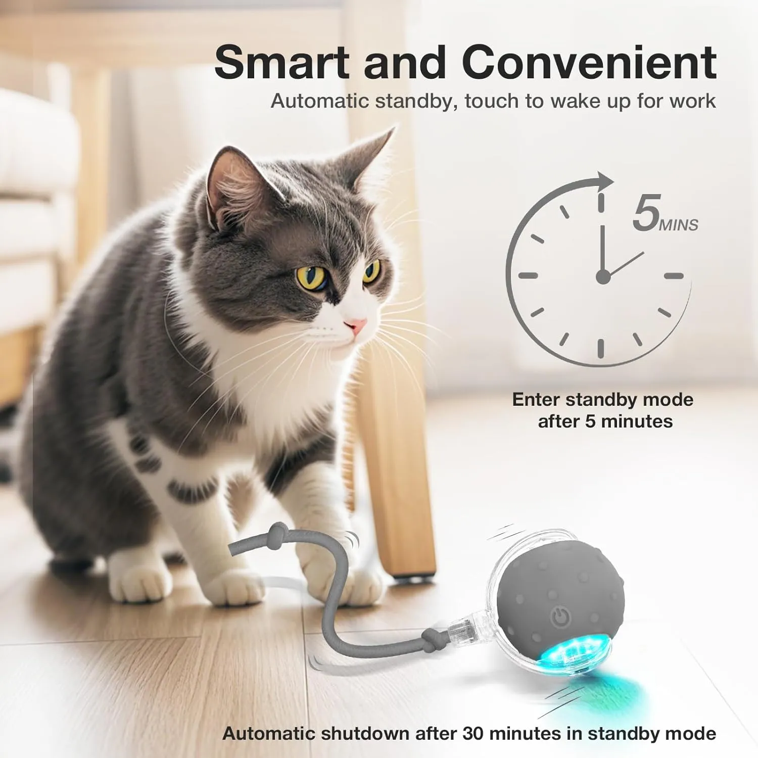 Interactive Cat Toys Ball for Indoor Cats Electric Chirping Bird Fast Moving Rolling Ball on Carpet, Chirping & Motion Activate Kitty Cat Toys (Gray)
