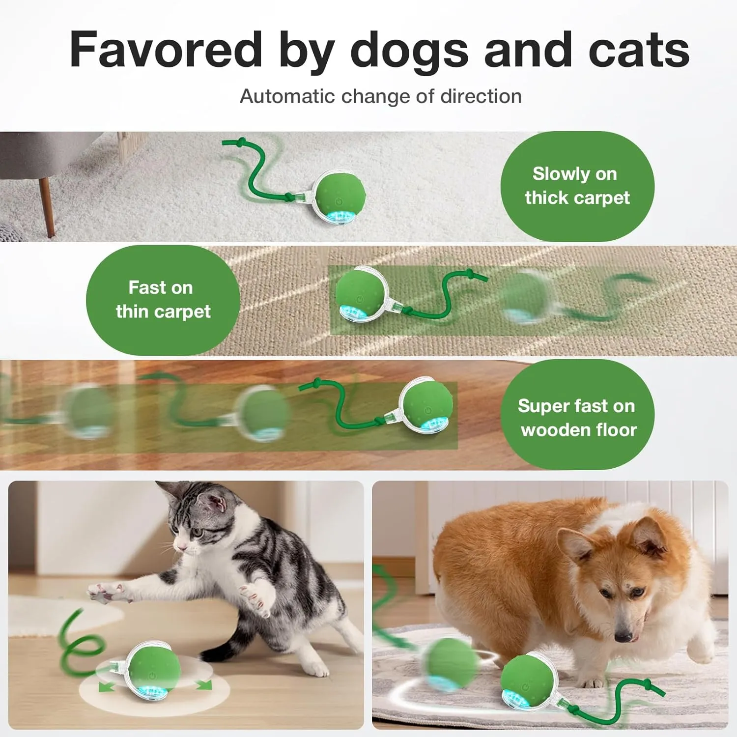 Interactive Cat Toys Ball for Indoor Cats Electric Chirping Bird Fast Moving Rolling Ball on Carpet, Chirping & Motion Activate Kitty Cat Toys(Green)