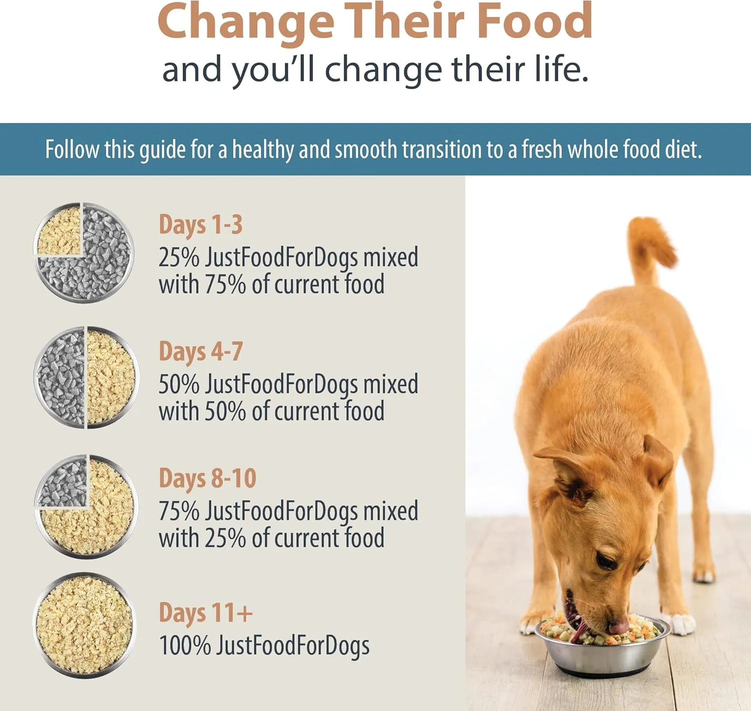 JustFoodForDogs Pantry Fresh Wet Dog Food, Complete Meal or Dog Food Topper, for Sensitive Stomachs, Balanced Remedy Human Grade Dog Food Recipe - 12.5 oz (Pack of 12)