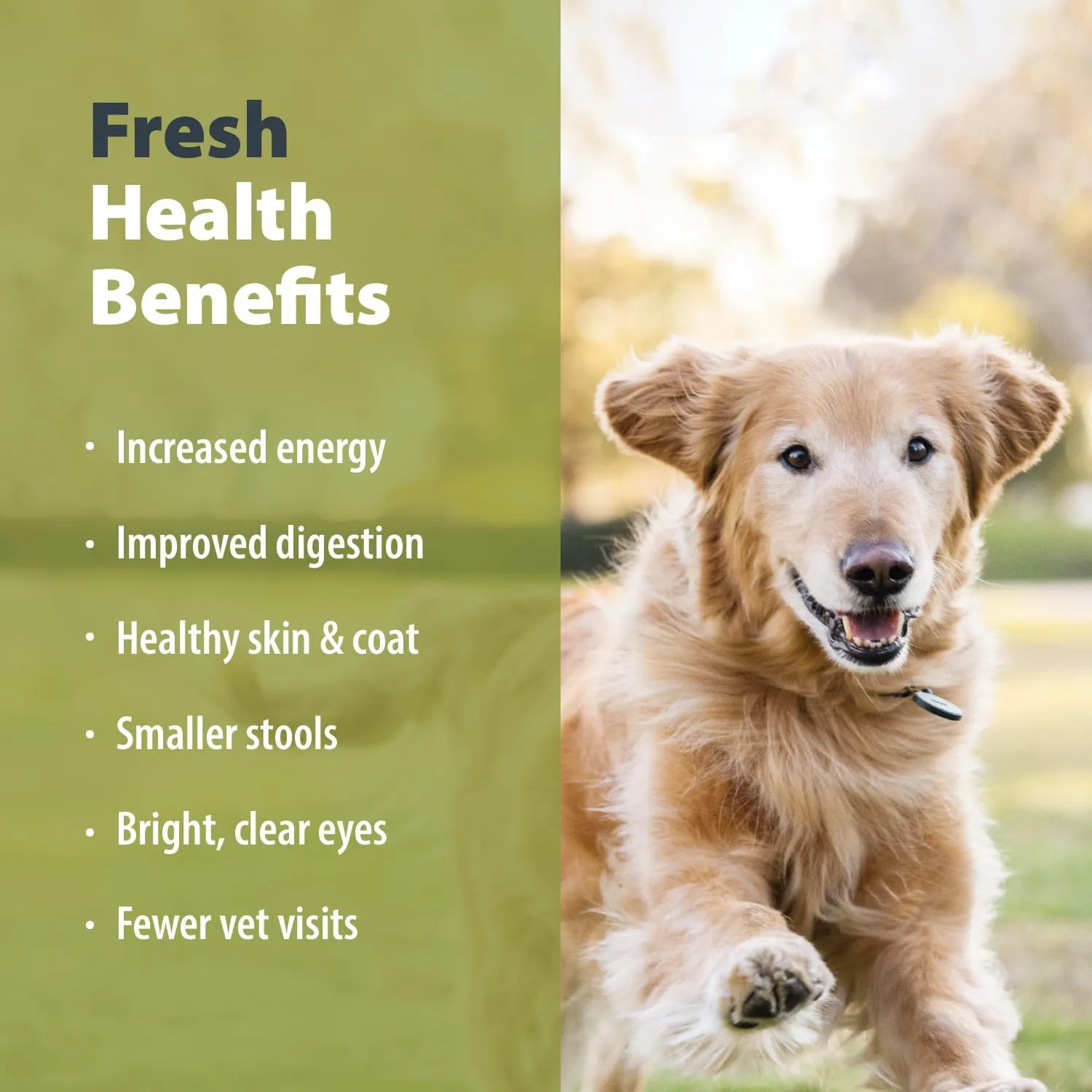 JustFoodForDogs Pantry Fresh Wet Dog Food, Complete Meal or Dog Food Topper, for Sensitive Stomachs, Balanced Remedy Human Grade Dog Food Recipe - 12.5 oz (Pack of 12)