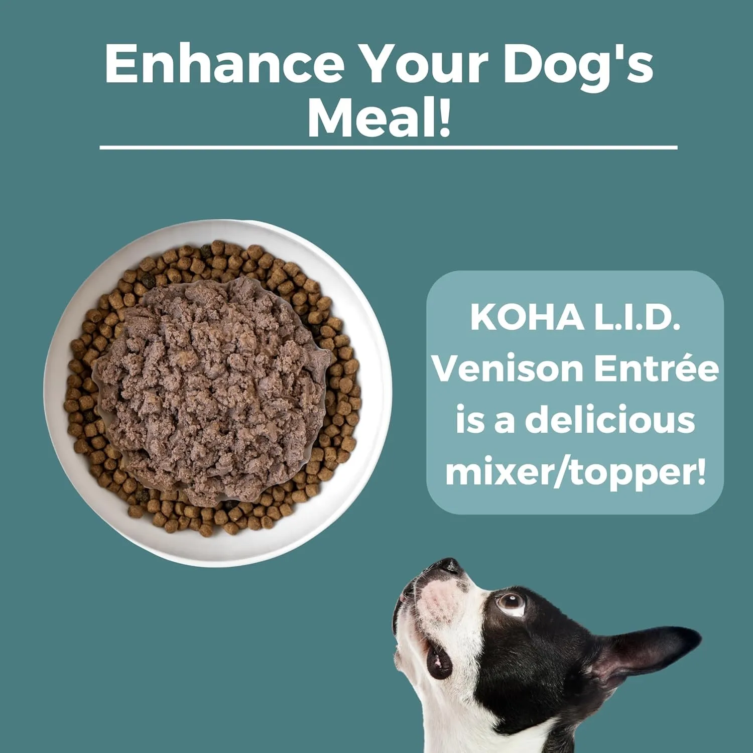 KOHA Limited Ingredient Diet Venison Entre for Dogs - Dog Food Toppers for Picky Eaters - Grain Free Wet Dog Food with No Fillers - Sesnsitive Stomach Venison - 13 oz Pack of 12