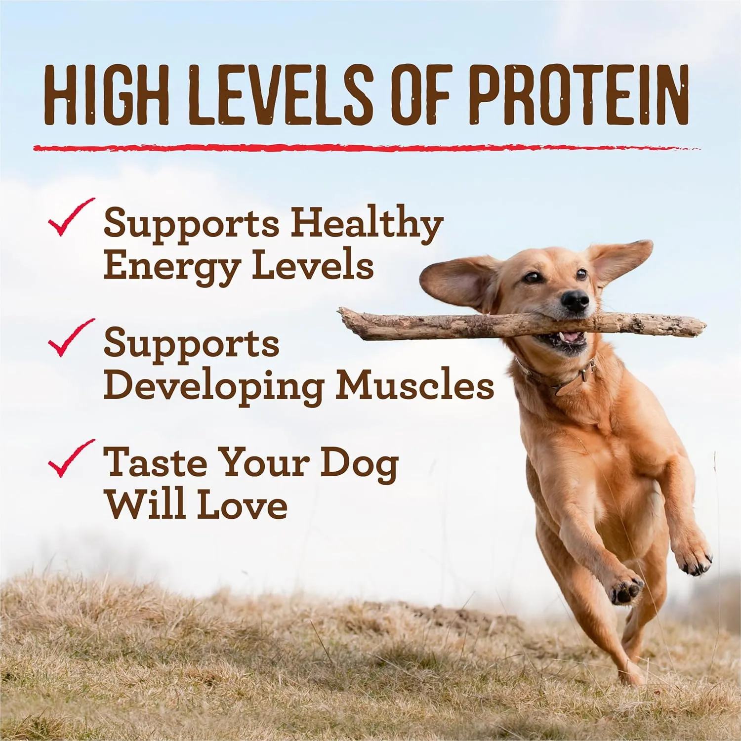 Merrick Grain Free Wet Puppy Food, Premium Soft And Gluten Free Canned Dog Food, Puppy Plate Beef Recipe - (Pack of 12) 12.7 oz. Cans