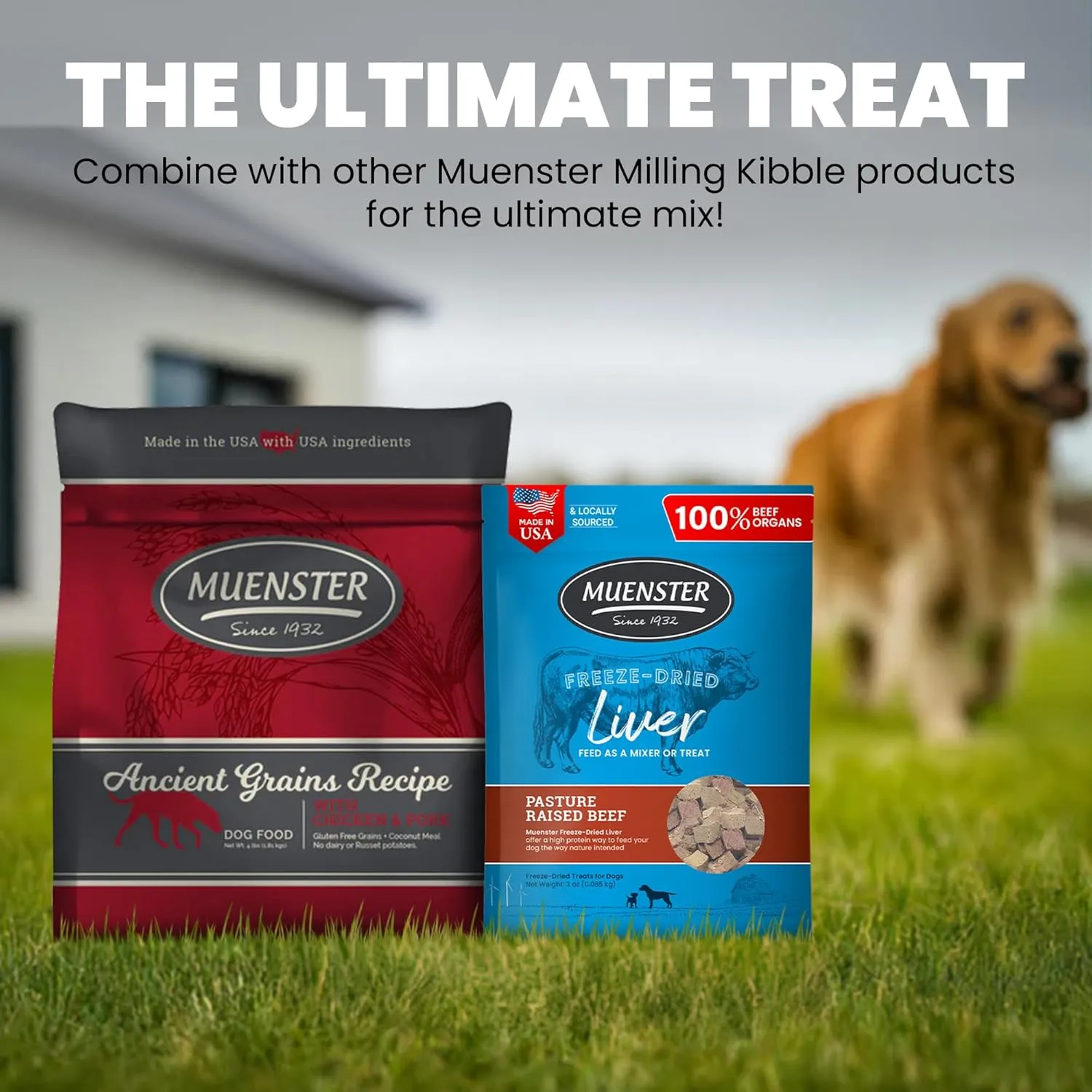 Muenster Freeze Dried Beef Liver Bites - Dog Treats, Mixer or Topper (3oz) - One Ingredient