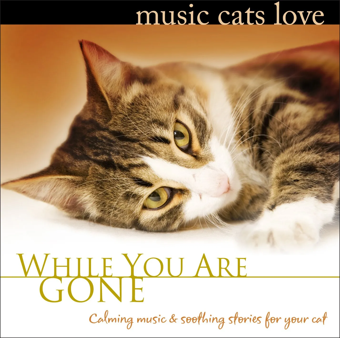 Music Cats Love: While You Are Gone Calm Music for Cats Relaxation & Separation Anxiety