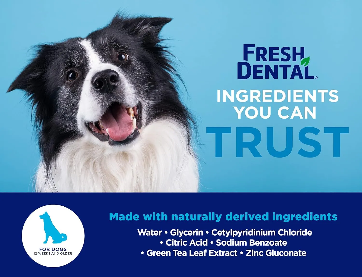 Naturel Promise Fresh Dental Dental Health Solution for Dogs, 18oz - 3 Pack - Oral Health Solution for Dogs - Easy to Use - Helps Clean Teeth - Freshens Breath Up to 12 Hours - No Brushing Required