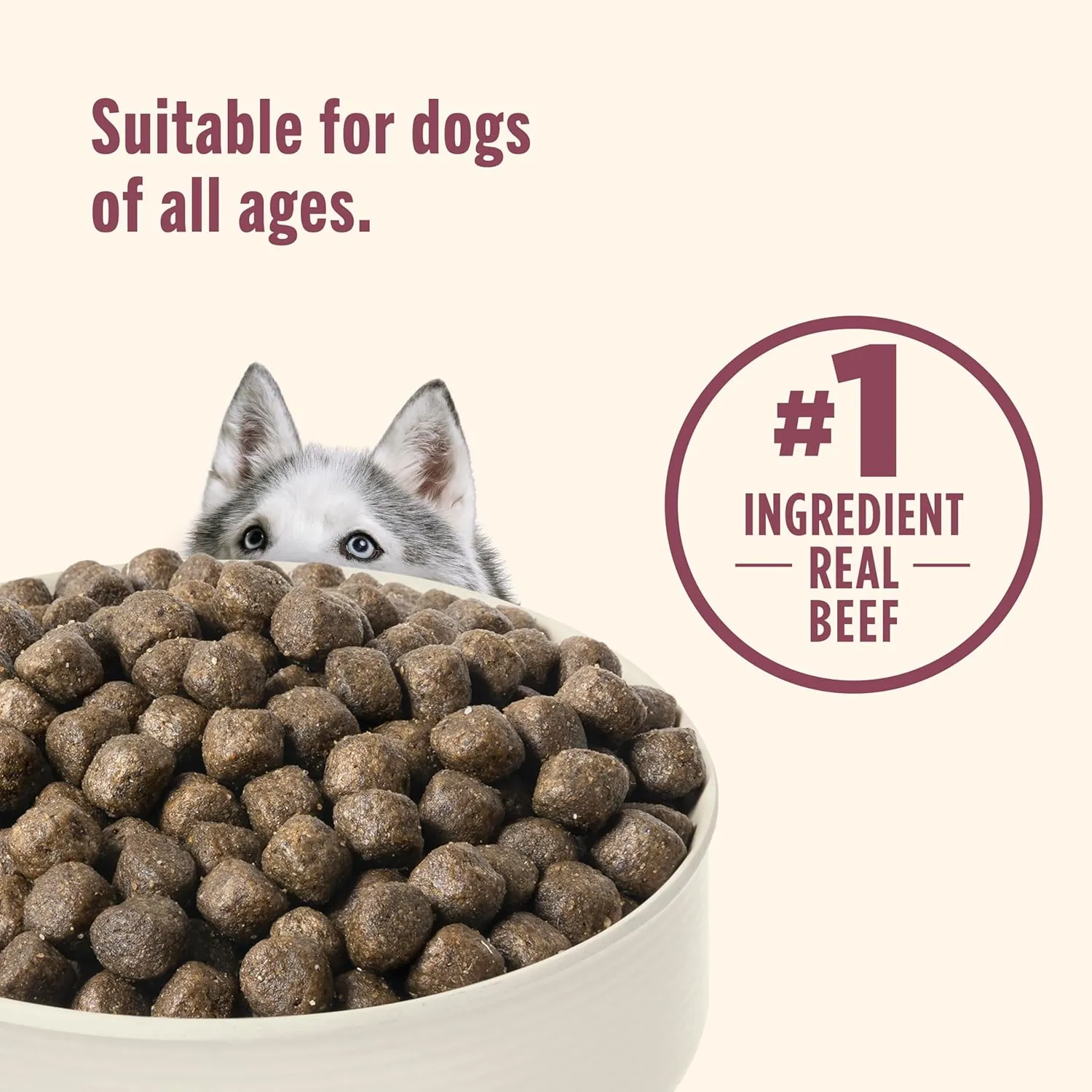 Nutrish High Protein Beef, Potato & Peas Recipe with Venison & Lamb Dry Dog Food, 23 lb. Bag (Rachael Ray)