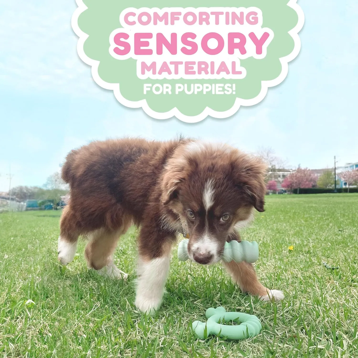 Nylabone Sensory Material Soothing Puppy Chew Toy Ring, Toys for Teething Puppies, Chicken Flavor, Small - Up to 25 lbs, 1 Count