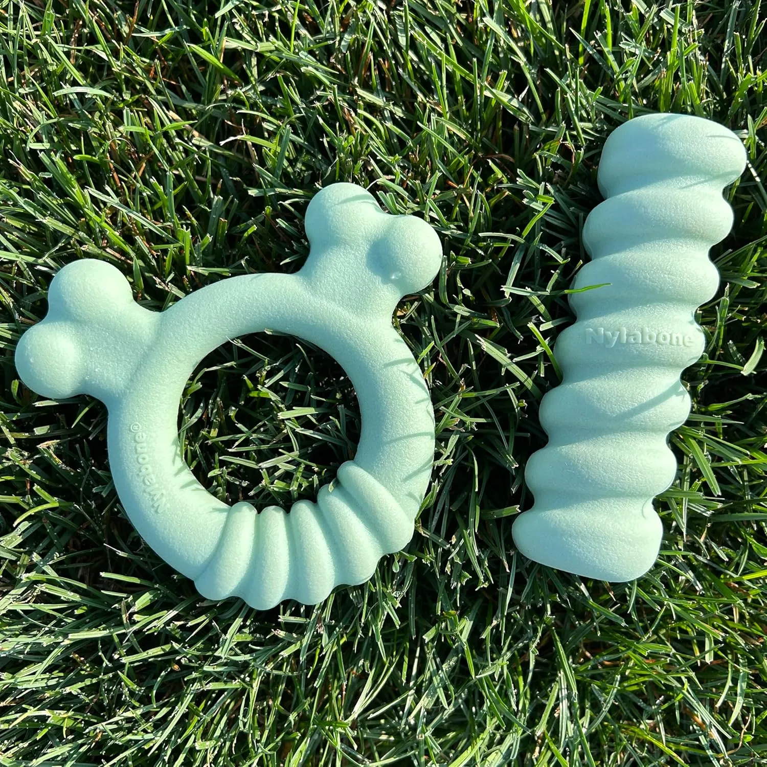 Nylabone Sensory Material Soothing Puppy Chew Toy Ring, Toys for Teething Puppies, Chicken Flavor, Small - Up to 25 lbs, 1 Count